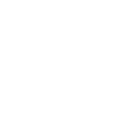 nexartis-logo-symbol-white